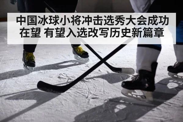 ice hockey player action
